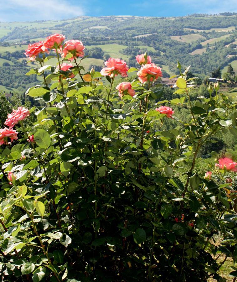 Gasthaus Country House Ca' Vernaccia Urbino Exterior foto